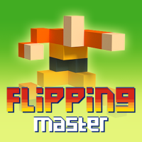 Flipping Master img
