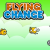 Flying Change Flying Change img
