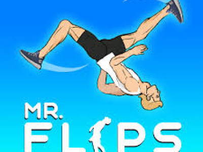 Mr Flip background